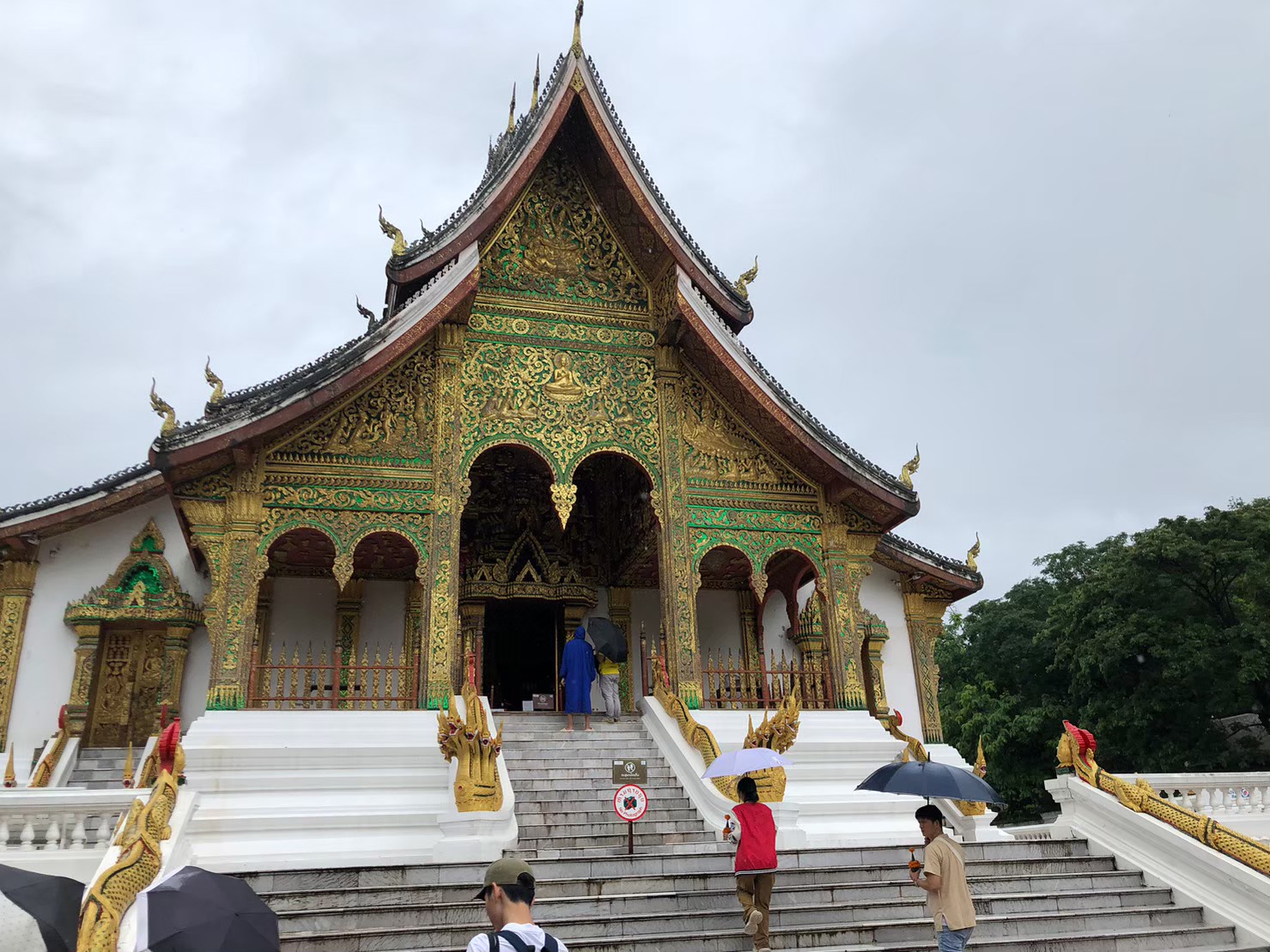 LINE_ALBUM_88_231112_1